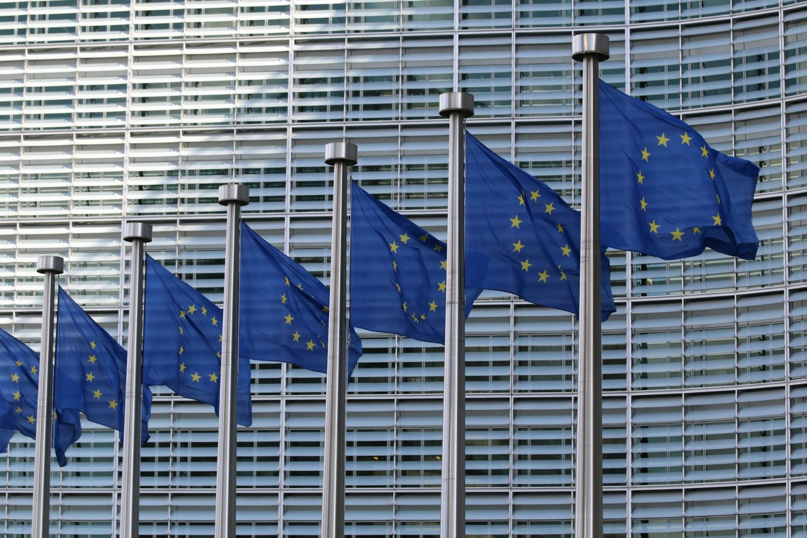 European union flags regulators platform commission
